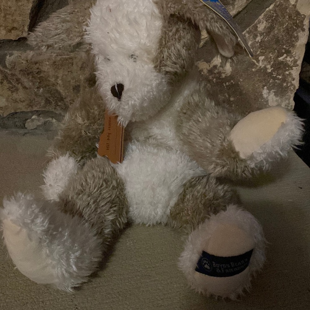 Boyd Bear.. Bear factory Bear.. Dog